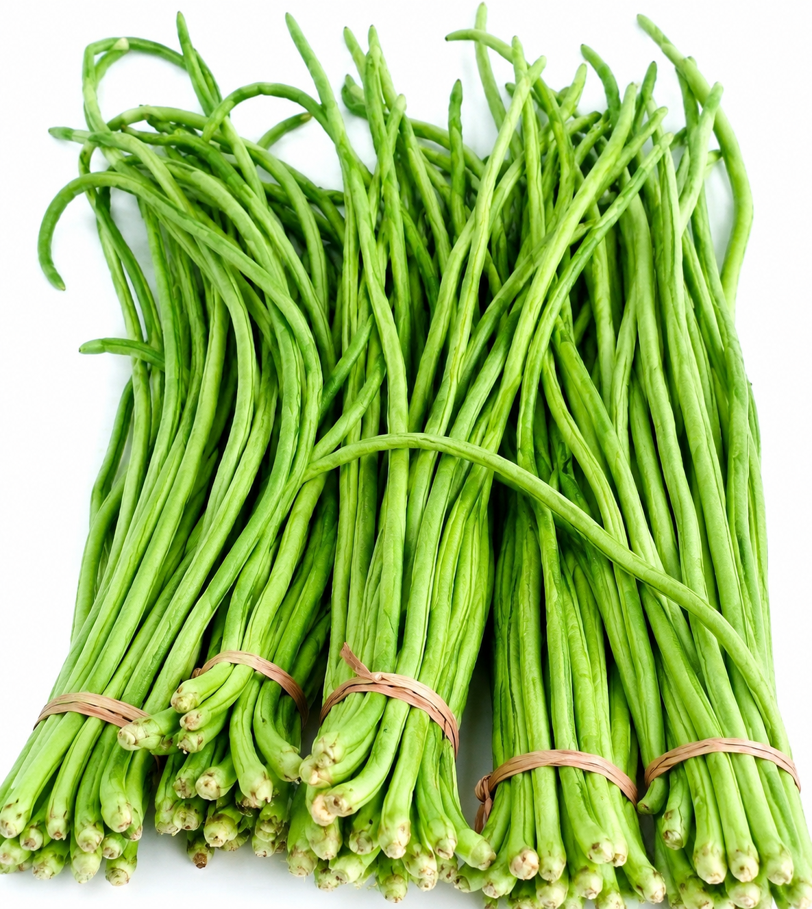 Borboti